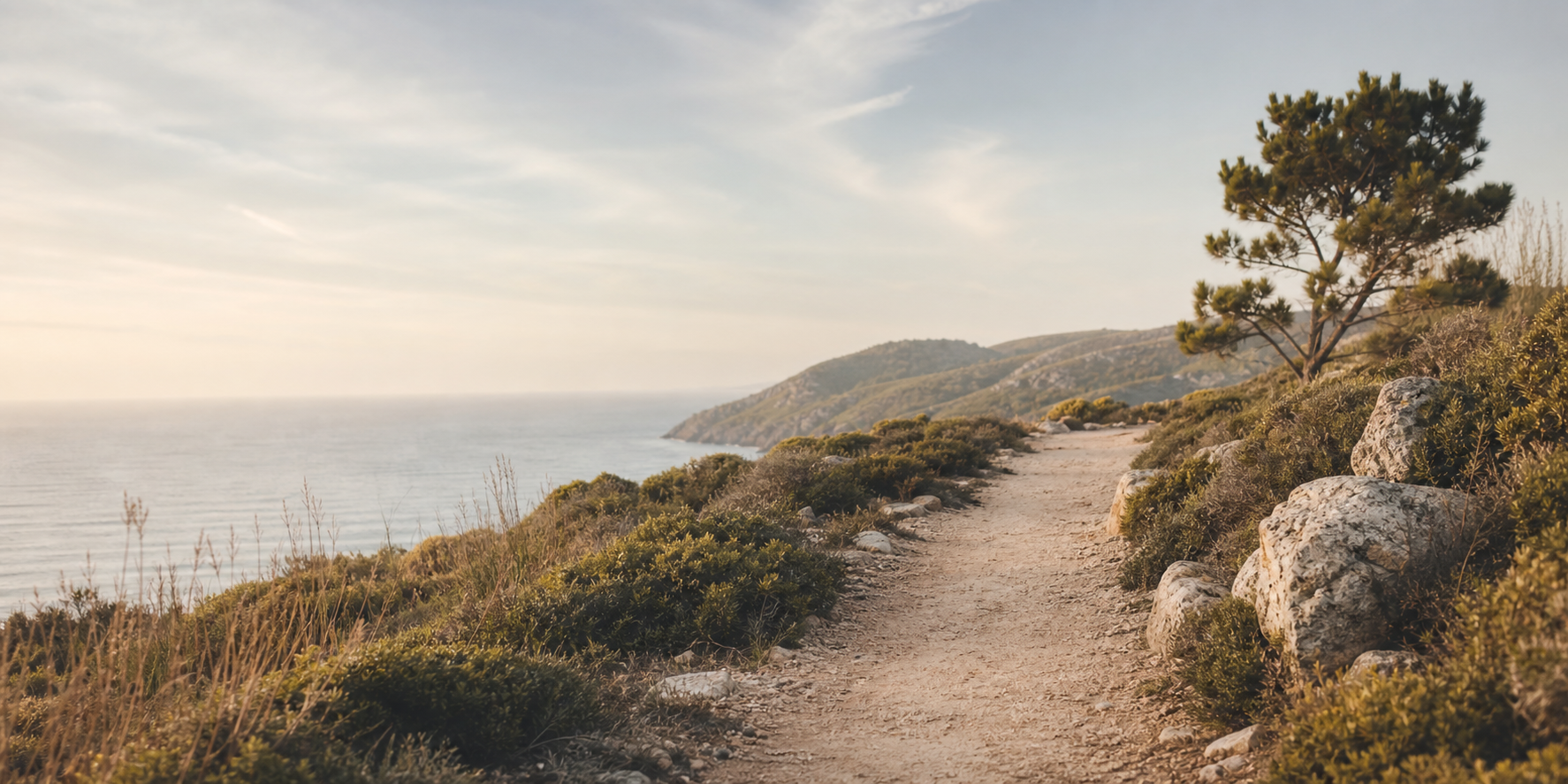 A quiet natural path in warm morning light